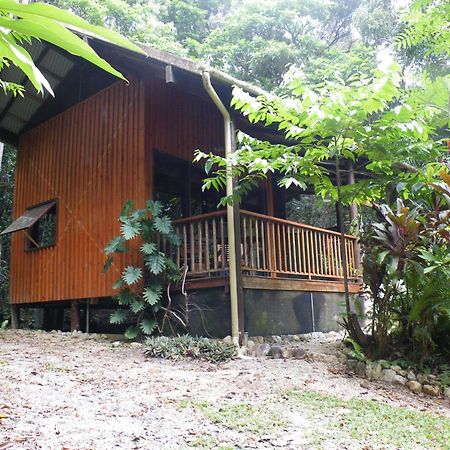 Epiphyte B & B Cow Bay Exterior foto