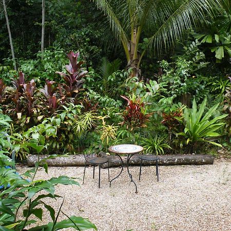Epiphyte B & B Cow Bay Exterior foto