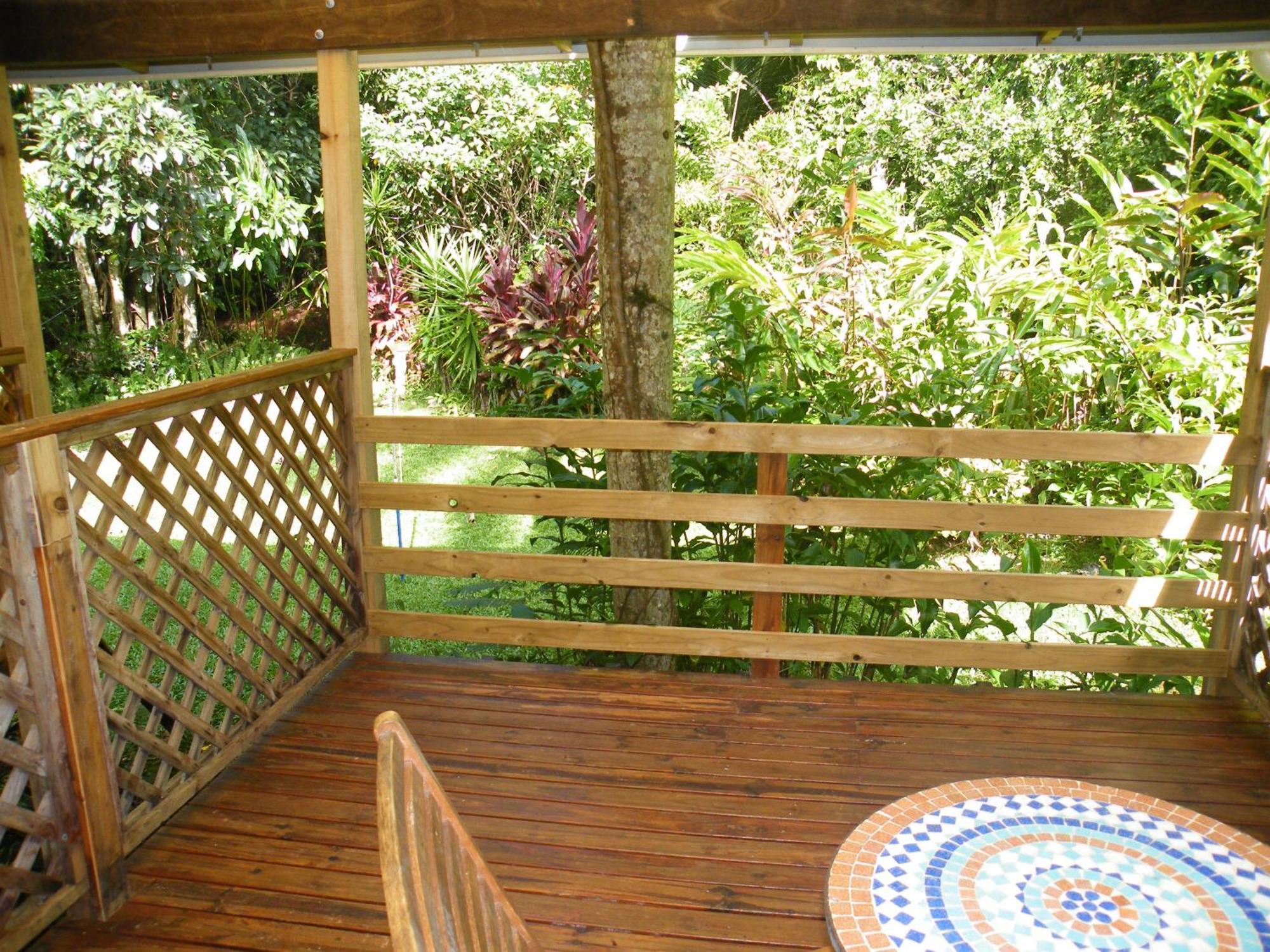 Epiphyte B & B Cow Bay Habitación foto
