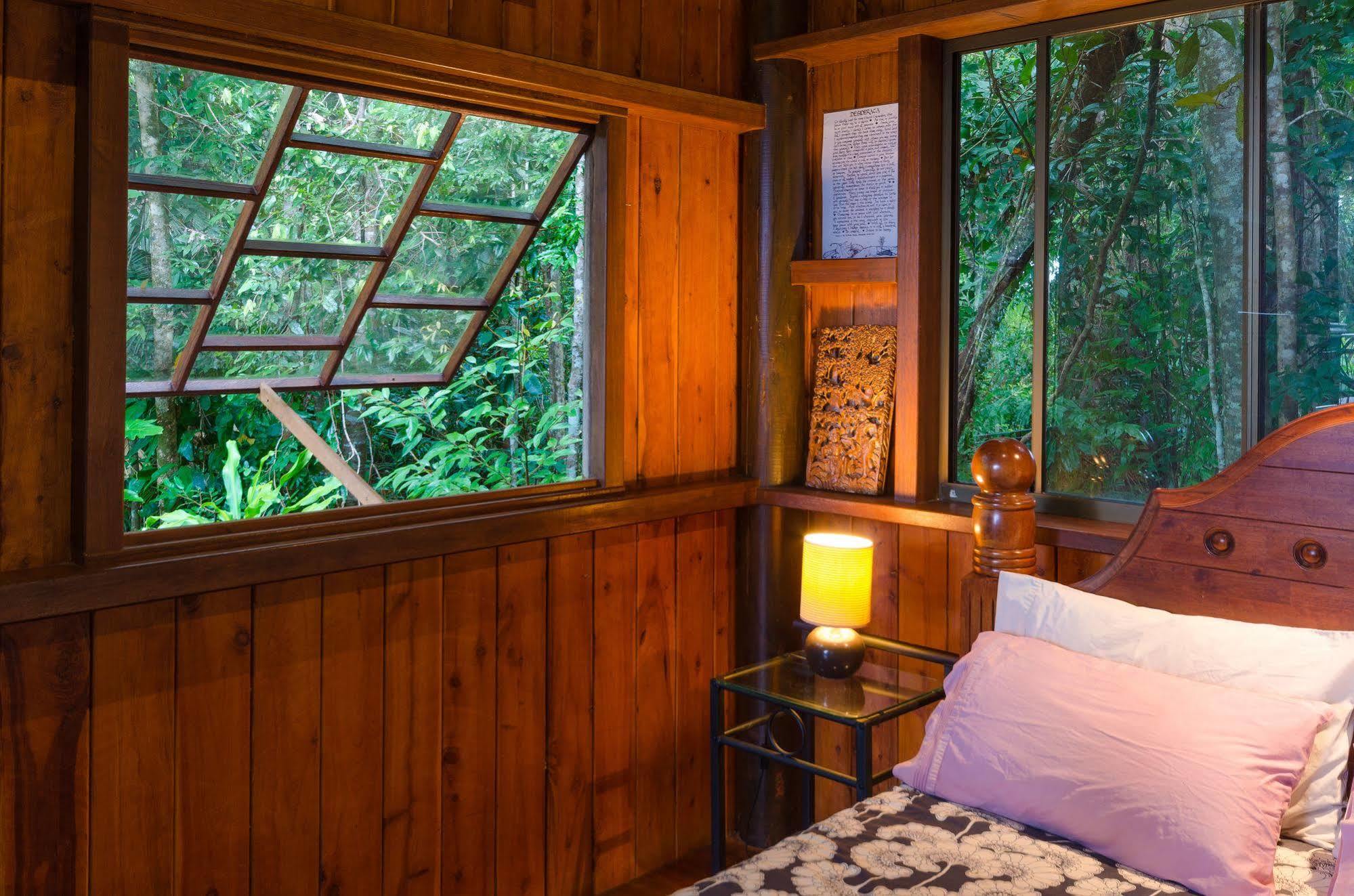 Epiphyte B & B Cow Bay Exterior foto