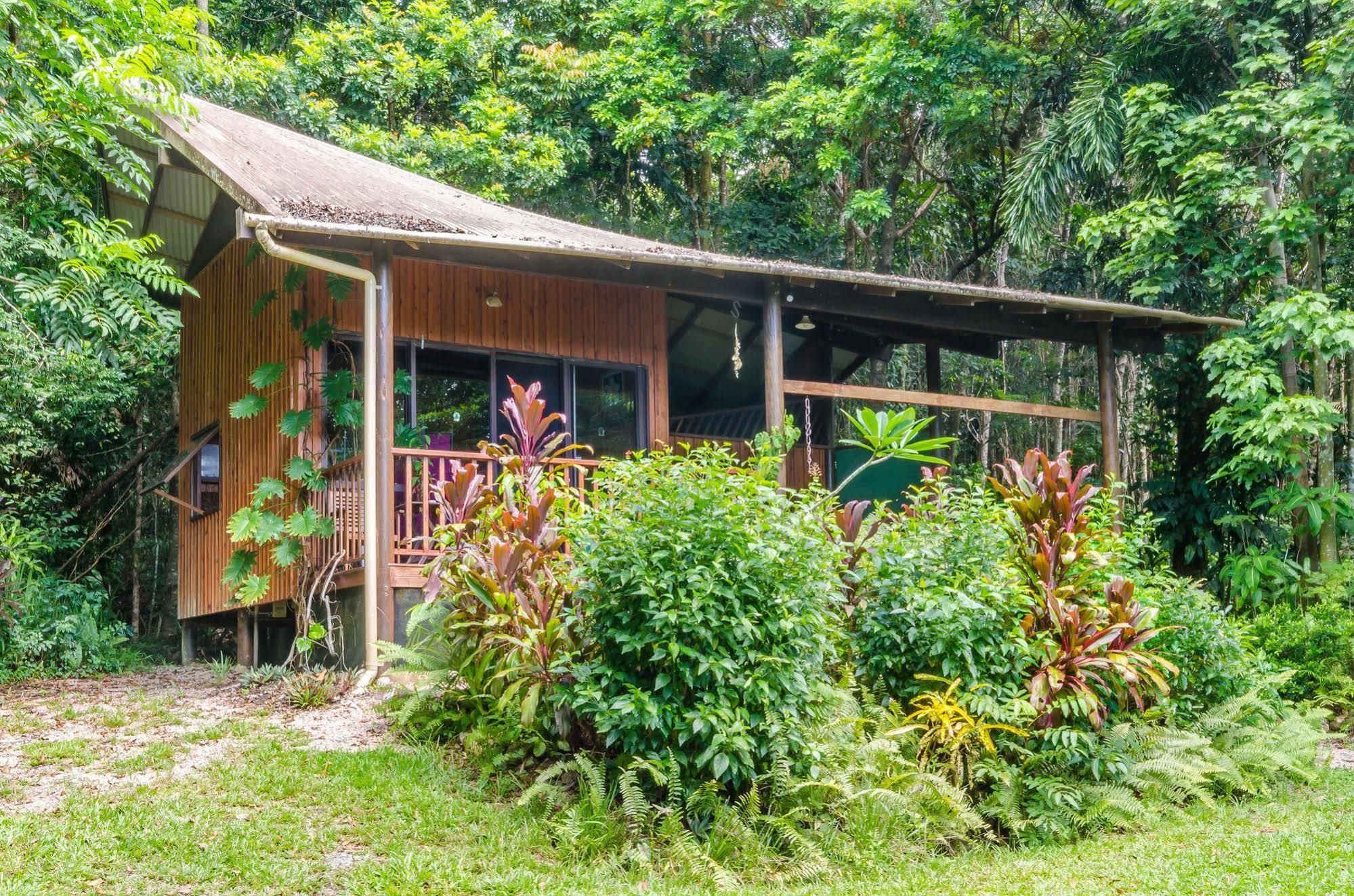 Epiphyte B & B Cow Bay Exterior foto