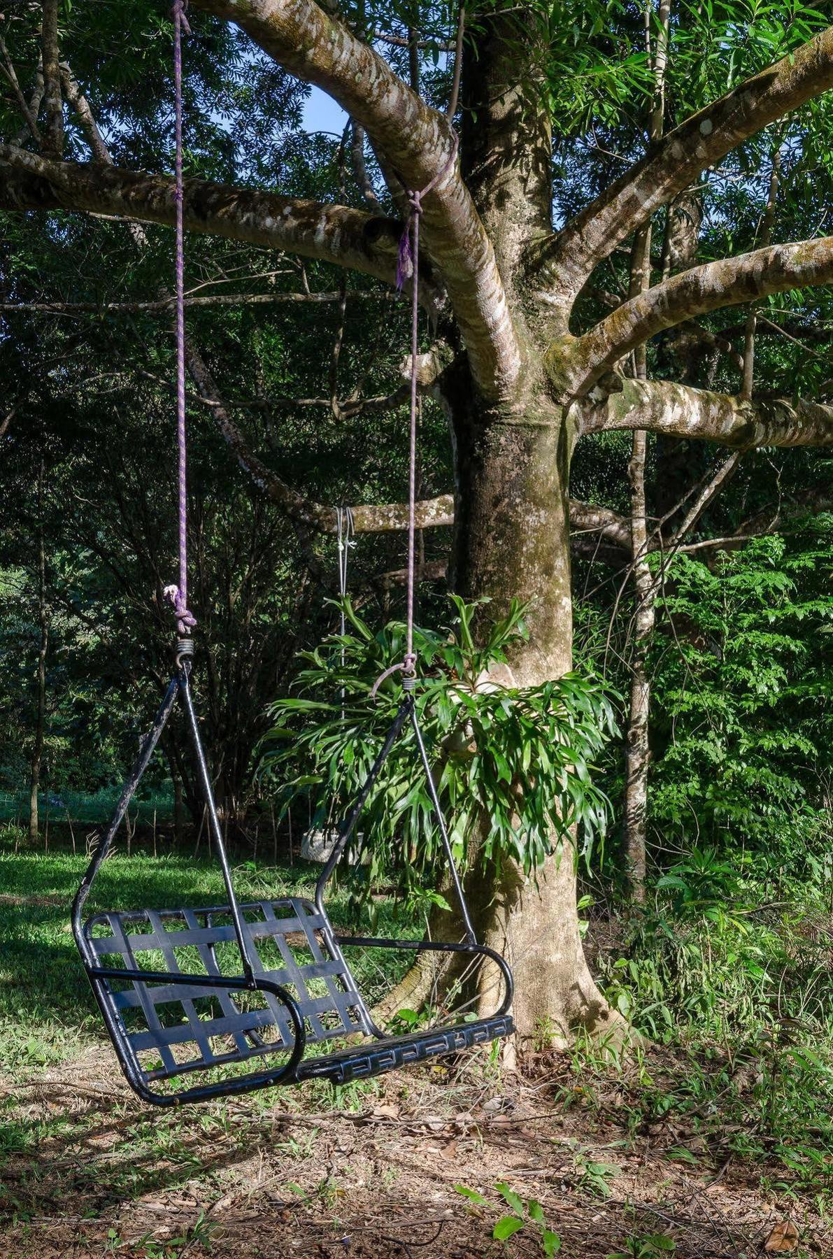 Epiphyte B & B Cow Bay Exterior foto